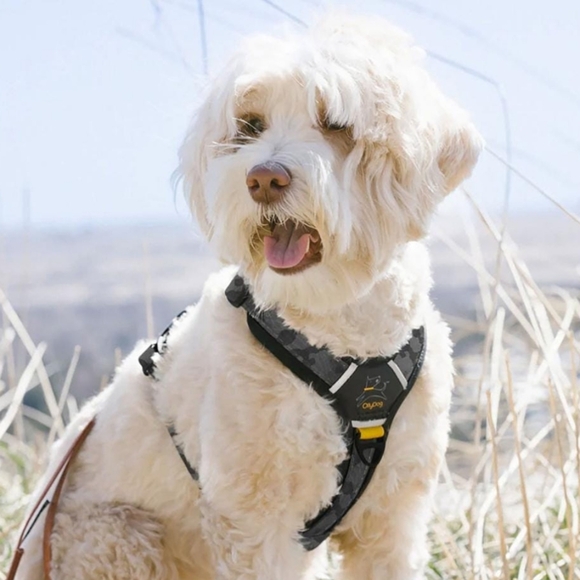 OllyDog Black Alpine Camouflage Dog Harness - L - Picture 2 of 5